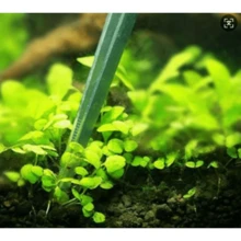 Pinzette per piante acquatiche, forbici - Set di strumenti per acquari in acciaio inossidabile 3 in 1 per piante da acquario - Argento - Visualizzare 2