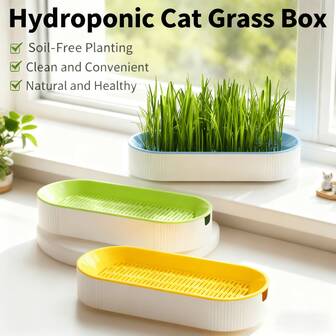 إمدادات الحيوانات الأليفة عبر الحدود بالجملة، وجبات خفيفة للقطط، صندوق زراعة نبات القطط المائي، طقم صندوق نبات القطط المائي