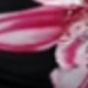 彩色