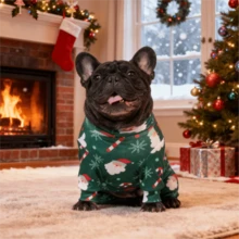 圣诞狗狗睡衣，搞笑圣诞狗狗服装，圣诞小狗睡衣，圣诞小狗衣服，狗狗毛衣，小狗圣诞礼物，狗狗服装，狗狗衣服，小型犬、中型犬、大型犬睡衣，超柔软有弹性，全身印花圣诞图案，S-6XL - 彩色 - 查看 5