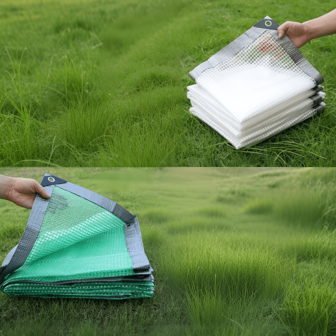 1Pc White/Green 16mil Heavy-Duty Transparent Greenhouse Tarp | Pre-Punched Every 50cm, Tear-Resistant | Protects Plants & Outdoor Furniture, All-Weather | Free Installation Ropes Included