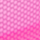 Rosa vieja