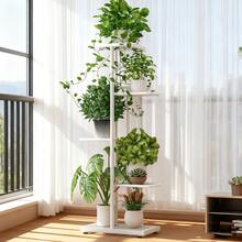 6/5/4 Tier Plant Stand - Home Garden Decor & Plant Storage Rack - Creative Pot Organizer Stunning Design, Perfect For Indoor/Outdoor Decor Space-Saving Indoor/Outdoor Plant Stand - 五層白色 - 查看 2