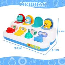 Parolera Baby Push & Pull Toys - Multicolor - View 5
