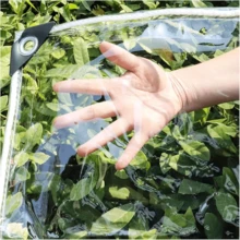 1pc Transparent Heavy-Duty PVC Tarpaulin - Waterproof Cover For Outdoor Plants/Furniture, Pre-Punched Holes With 50cm Spacing, Free Nylon Ropes For Installation, Multi-Purpose Weatherproof Use