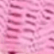 Hồng