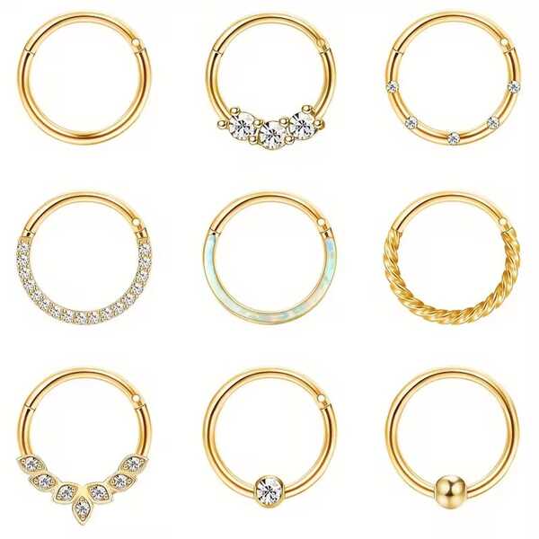 16G Stainless Steel Ear Cartilage Spiral Nose Ring Piercing Jewelry CZ Hinge Isolation Ring Click Ring