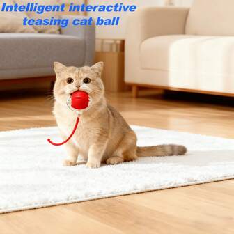 ลูกบอลของเล่นแมวแบบโต้ตอบ, ของเล่นแมวให้ความบันเทิงด้วยตัวเอง, ของเล่นสุนัข, ของเล่นสัตว์เลี้ยง
