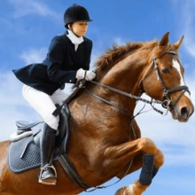 1pc,Outdoor Sports, Horseback Riding, Flattery, Fart, Whip, Fashionable Whips