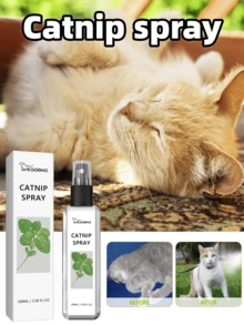 1 Bottle/100ml Cat Mint Spray, Helps Relieve Cat Anxiety, Enhance Pet Vitality, And Provide Healthy Care. Cat Mint Training Liquid, Boost Cat Energy. - Multicolor - View 4