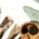 Multicolor