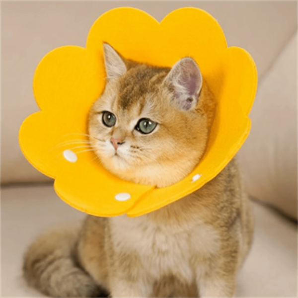Adjustable Microfiber Cat Collar - Waterproof, Anti-Lick/Bite, Anti-Scratch, Comfortable Elizabethan Collar For Cats Post-Operation Recovery, Cat Post-Operation Protection, Pet Recovery Collar | Cheerful Design | Soft Protective Cover, Cat Collar, No Batteries Required