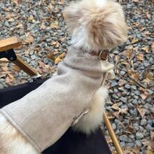 1pc Cute Princess Style Plush Windbreaker Jacket For Small/Medium Dogs, Elegant Pet Clothes For Autumn/Winter - Beige - View 1