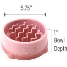 Outward Hound Medium Slow Feeder Bowl, Puzzle Maze For Fast Eaters, Small To Medium Dogs, Helps Prevent Bloat &Amp; Aid Digestion, Holds 2 Cups Wet Or Dry Food, Non-Slip, Made Without BPA, Gray - MàuE - Xem 7
