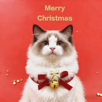 带红色蝴蝶结和铃铛的圣诞猫项圈 - 可调节柔软毛绒小猫项圈，适合圣诞照片、节日派对 - 可爱的圣诞宠物礼物配件，适合猫和小型犬