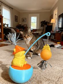 New Cat Toy Set: Teaser Wand + Cute Tumbler Scratching Ball, Self-Playing For Boredom Relief Cat Teasing Tumbler Interactive Self-Amusing Entertaining Novelty Wobble Cat Scratch Ball For Puppy Indoor Cats Playing With Ball 360 Degree Rotation Interactive Cat Ball Toy Kitten Game For Hunting Simulation Mental Stimulation Scratching