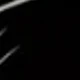 Negro A
