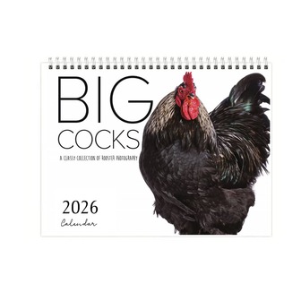 2026 Funny Monthly Calendar - Ideal Gift For Farmhouse Style Lovers, Fun Calendar, Large Print, Flip Calendar, Office Wall Decor | Farm Style Wall Decor | Calendar Decor For Home