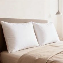 Pillow Inserts - White - View 1