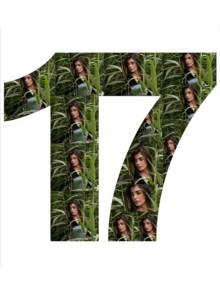 定制圣诞礼物，可定制1至99的数字、2026岁生日照片、A、B、C、D、E字母主题照片、成长照片拼贴画，生日礼物、圣诞照片礼物，母亲节和父亲节的完美礼物，送给爱人和朋友的理想礼物。秋季家居焕新，圣诞装饰，营造温馨家居氛围，办公室装饰，优雅生活