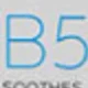 B5