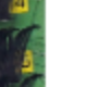 CC