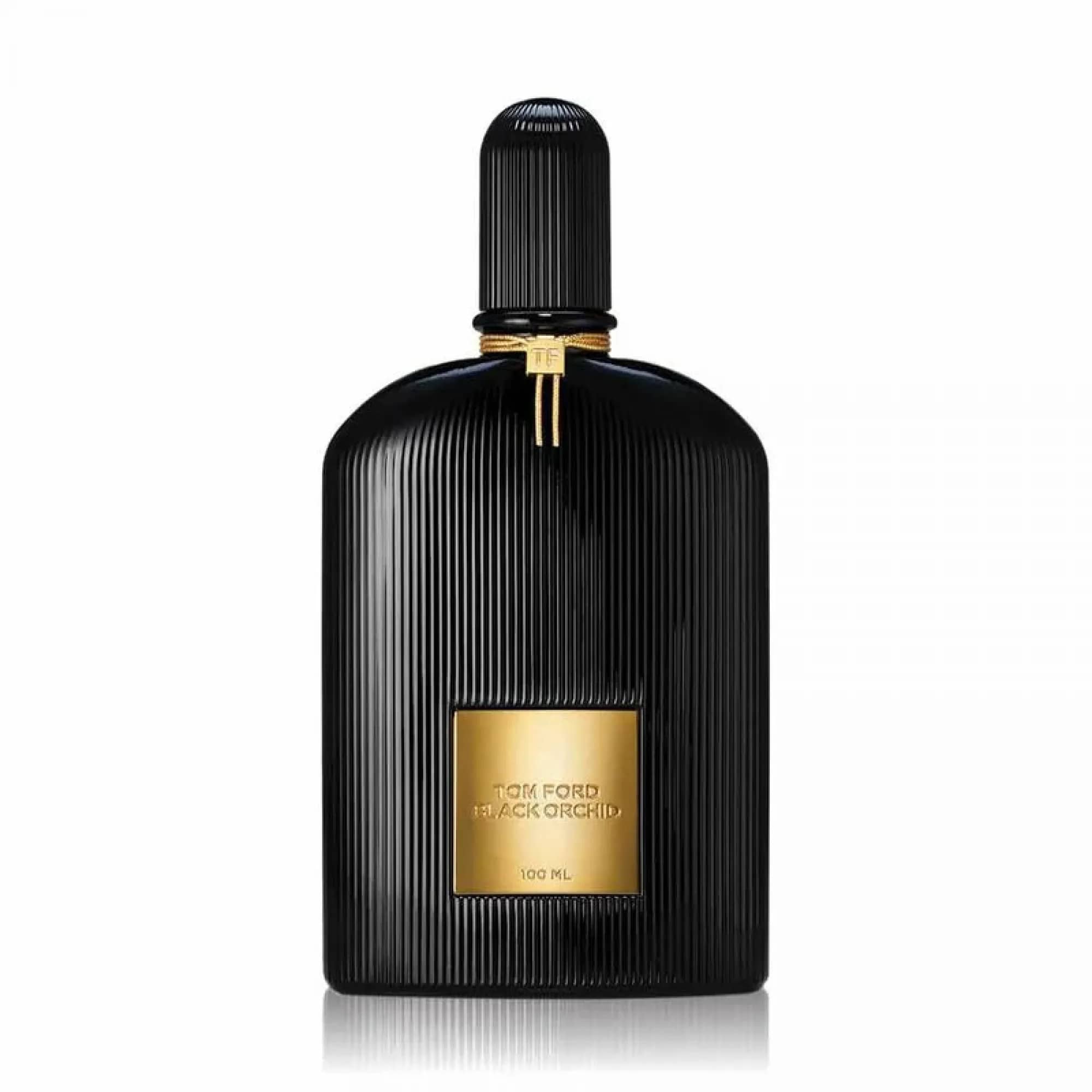 Tom Ford | Fashion Tom Ford | SHEIN USA