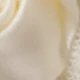 62002 Beige