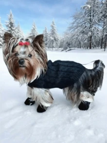 Para zimowych butów dla psa, z podszewką termiczną, ciepłe i z miękką podeszwą, wiatroszczelne i odporne na zimno. Nadają się do utrzymania ciepła i ochrony stóp podczas aktywności na świeżym powietrzu, zapewniając niezawodną ochronę podczas spacerów z psem.