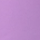 Màu Lilac Tím
