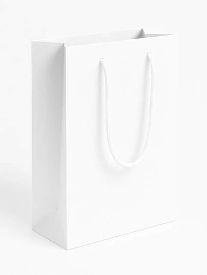 10 Sacolas De Papel Lisa 25x17x6 Lembrança Surpresa Brinde Diversas Cores