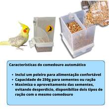 Comedouro De Sementes Para Calopsitas Automatico Fim Sujeira