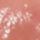 02 Milk Orange