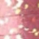 彩色