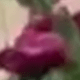 Màu tím
