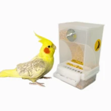 Comedouro De Sementes Para Calopsitas Automatico Fim Sujeira