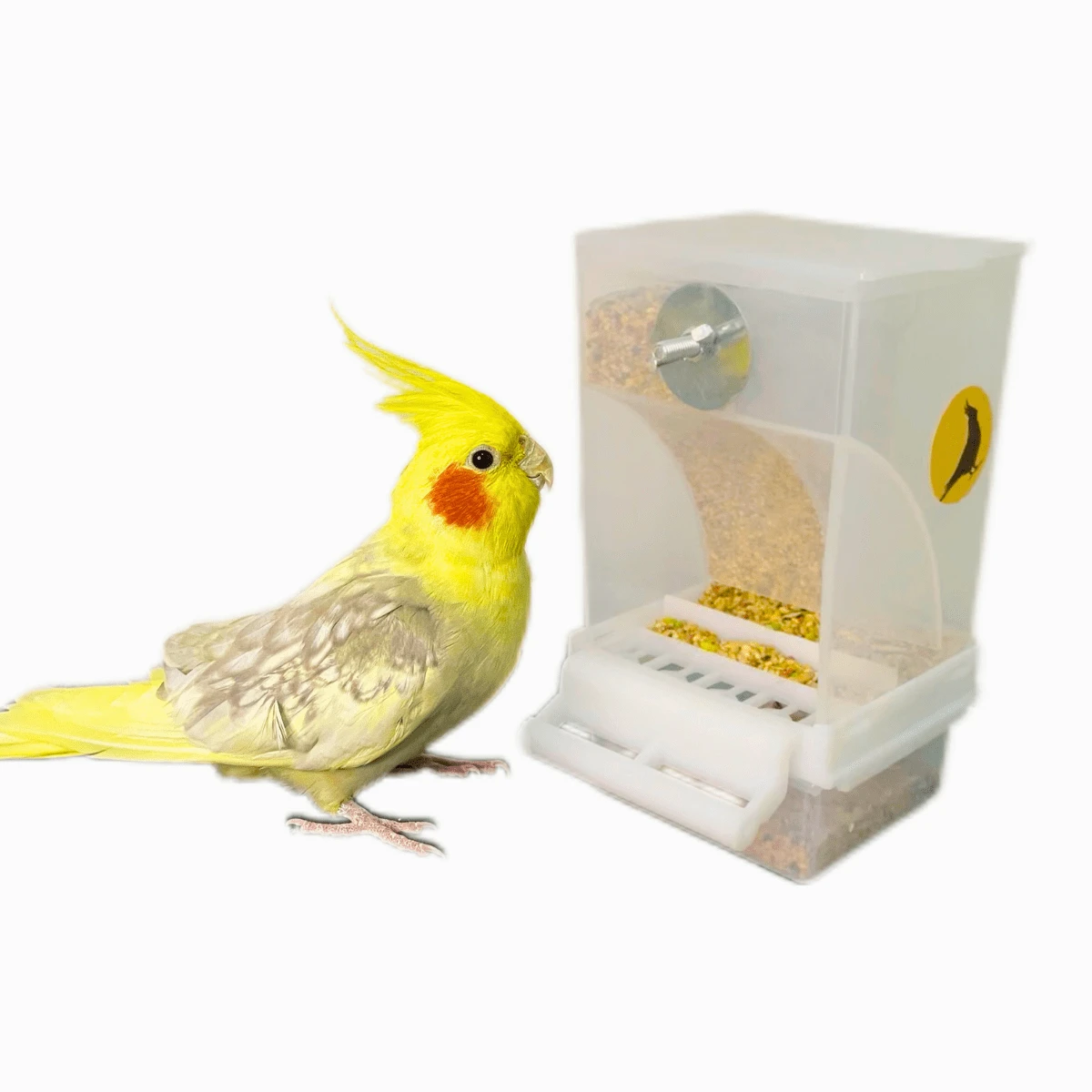 Comedouro De Sementes Para Calopsitas Automatico Fim Sujeira