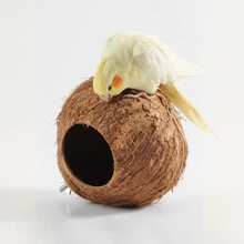 1 个 4/6 英寸椰子壳鸟巢，虎纹鹦鹉保暖繁殖悬挂黄麻绳鸟屋仓鼠窝