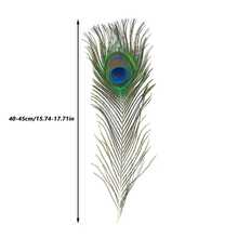 10/20/40pcs Natural Peacock Feathers, Home Decor Floral Arrangement, DIY Craft Supplies