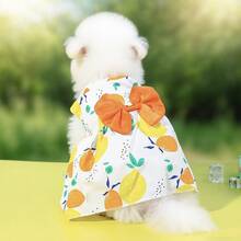 Pet Dress, Dog Clothes, Cat Dress, Princess Dress - Multicolor - View 7