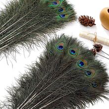 10/20/40pcs Natural Peacock Feathers, Home Decor Floral Arrangement, DIY Craft Supplies