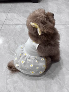 1件宠物连衣裙，轻薄夏季宠物薄纱连衣裙，适合狗狗、贵宾犬、比熊犬、泰迪犬、约克夏梗犬、雪纳瑞犬、小型犬等。 - 白色 - 查看 5