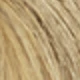 SP12-613