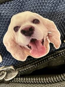 1 Pc Custom Cat Pin, Cute Cat Head Pins, Personalized Cat Pins, Gifts For Cat Lovers, Kawaii Kitty Pin, Personalized Pet Badge, Custom Cat Brooch - Bag Pin - View 2