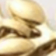 Vàng