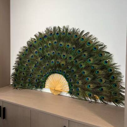 10/20/40pcs Natural Peacock Feathers, Home Decor Floral Arrangement, DIY Craft Supplies