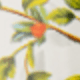 1.2L花鳥搪瓷壺