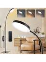 Floor Lamps