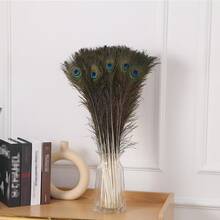 10/20/40pcs Natural Peacock Feathers, Home Decor Floral Arrangement, DIY Craft Supplies