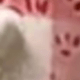 彩色